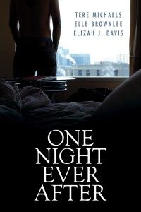 Book Cover: One Night Ever After